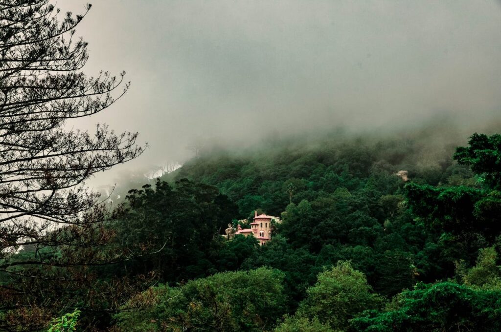 Historic estate surrounded by forest in Sintra, Portugal, a romantic setting for a destination wedding.